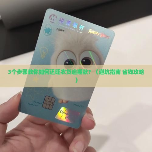 旺农贷逾期了怎么还款