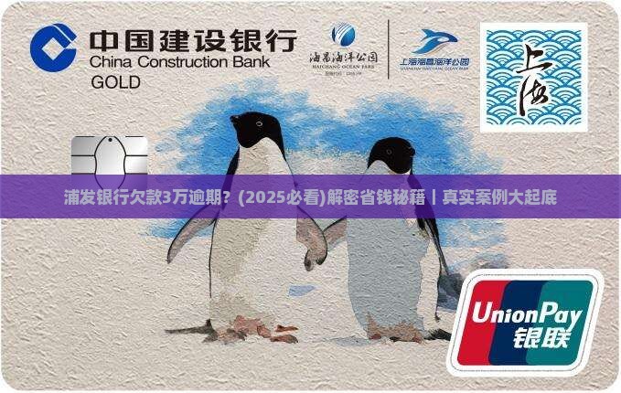 浦发银行欠款3万逾期
