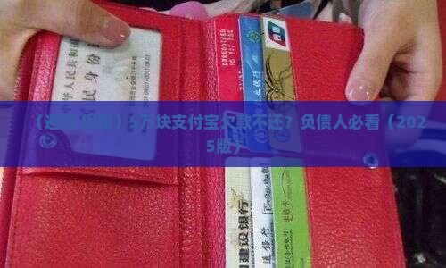 支付宝5万块不还会有什么后果