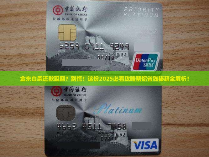 金东白条如何申请延期还款