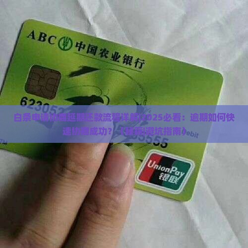 白条申请协商延期还款流程详解