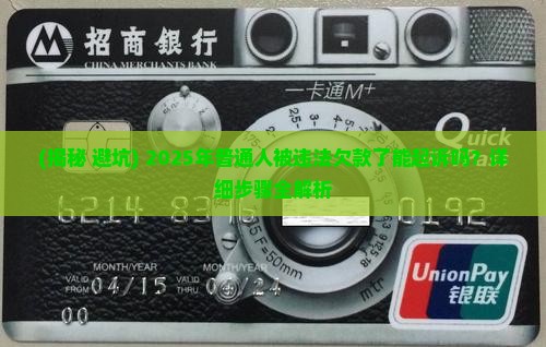 违法欠款可以起诉吗
