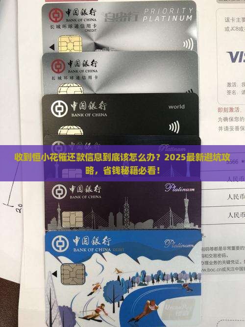 收到恒小花催还款信息该如何处理