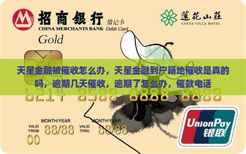 天星金融被催收怎么办