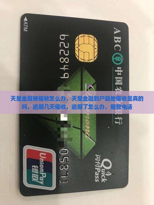 天星金融被催收怎么办