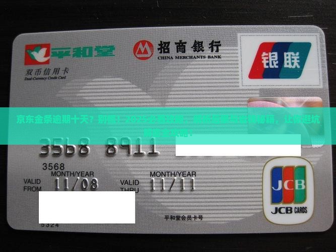 京东金条逾期十天后果的法律后果及解决方法