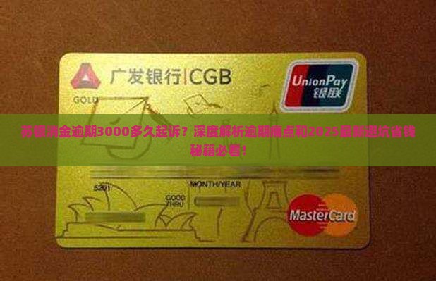 苏银消金逾期3000多久起诉