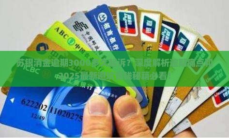 苏银消金逾期3000多久起诉