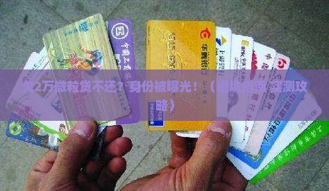 微粒贷欠2万没还怎么办