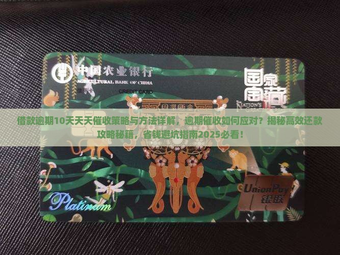 借款逾期10天天天催收策略与方法详解