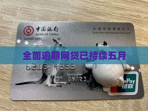 网贷已经全面逾期五月