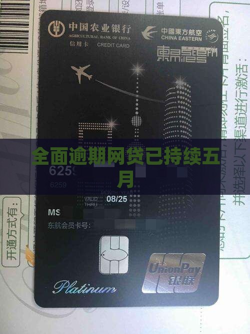 网贷已经全面逾期五月
