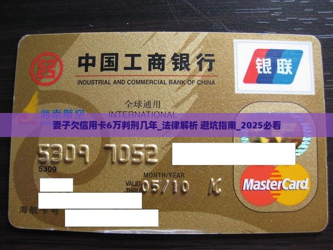 妻子欠信用卡6万判刑几年