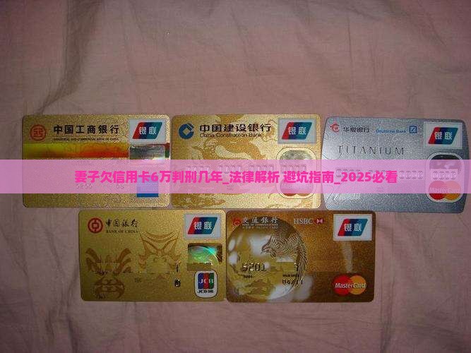 妻子欠信用卡6万判刑几年