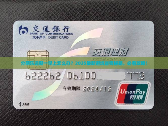 分期乐逾期一早上如何解决