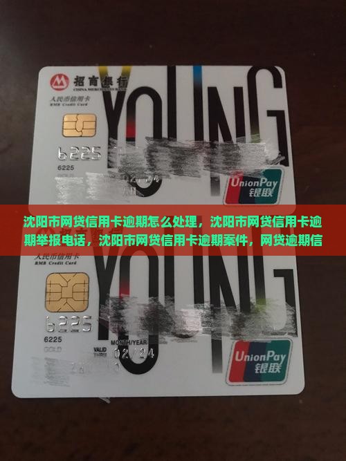 沈阳市网贷信用卡逾期