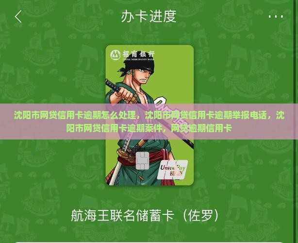 沈阳市网贷信用卡逾期
