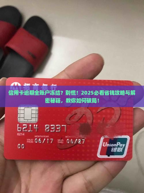 信用卡逾期所有账户被冻结吗怎么解决