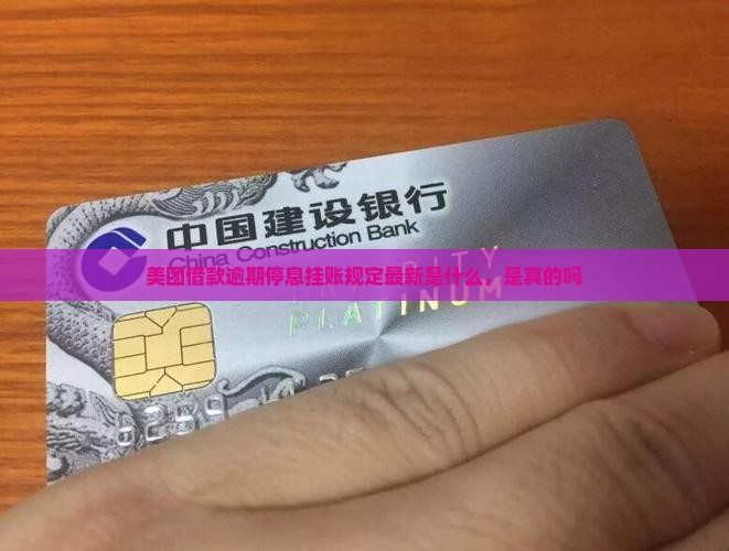美团借款逾期停息挂账规定