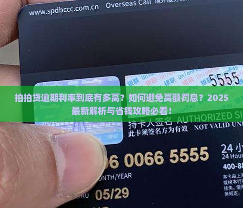 拍拍贷逾期利率高吗