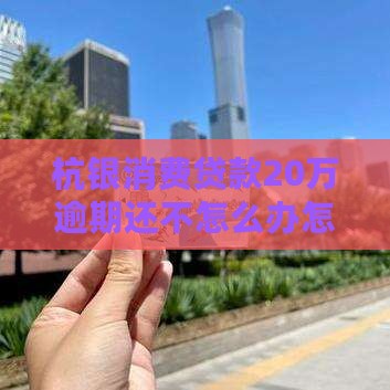杭银消费贷款20万无力偿还应该怎么办