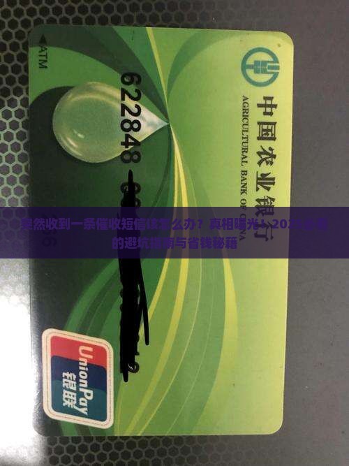 突然收到一条催收短信该怎么办
