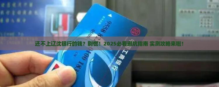 还不上辽沈银行的钱该怎么办