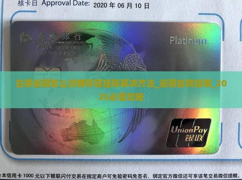 白条逾期怎么协商停息挂账解决方法