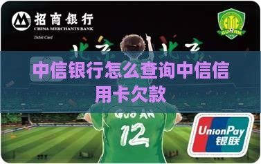 中信银行信用卡欠款查询方法大揭秘
