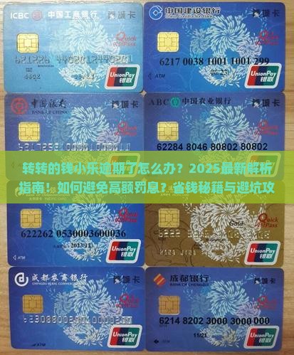 转转的钱小乐逾期了怎么办 转转的钱小乐逾期了怎么办