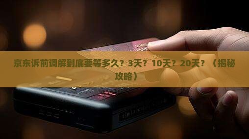 京东诉前调解一般要过多长时间才能立案