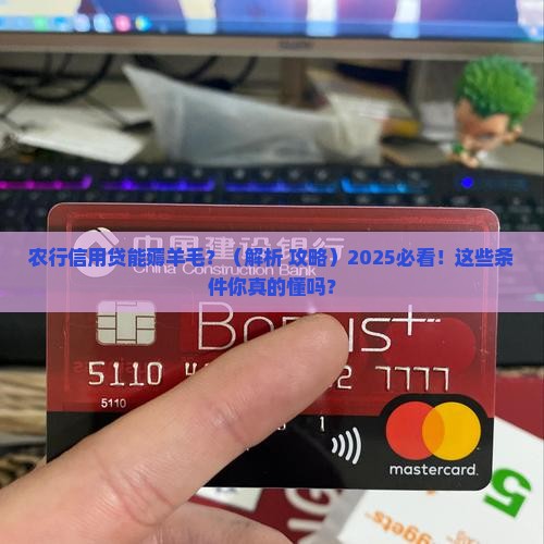 农行信用贷可以协商条件吗