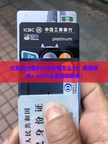 欠京东白条800天逾期怎么办