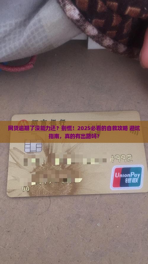 网贷逾期了没能力偿还怎么解决