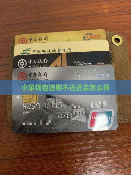 小象钱包逾期不还会怎么样
