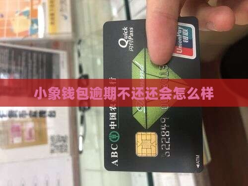 小象钱包逾期不还会怎么样