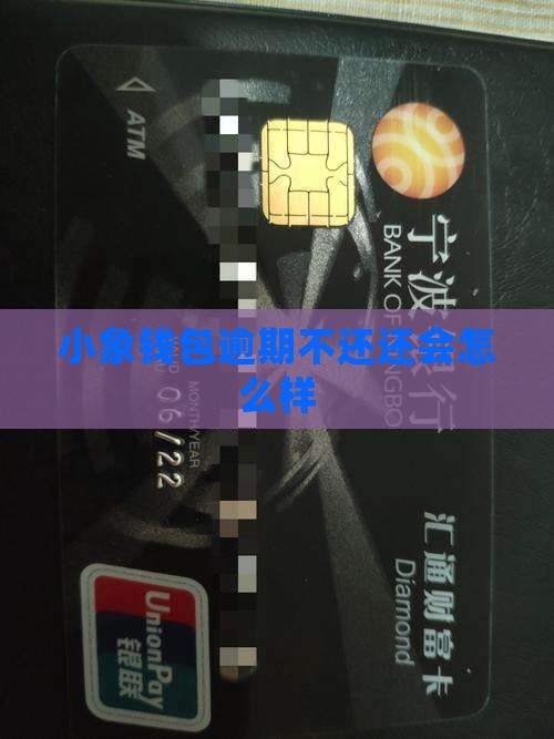 小象钱包逾期不还会怎么样