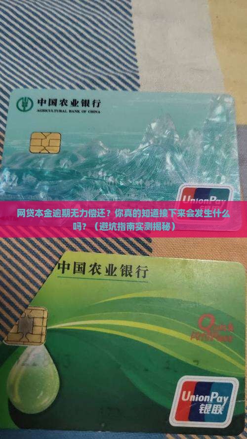 网贷本金逾期无力偿还会怎么样