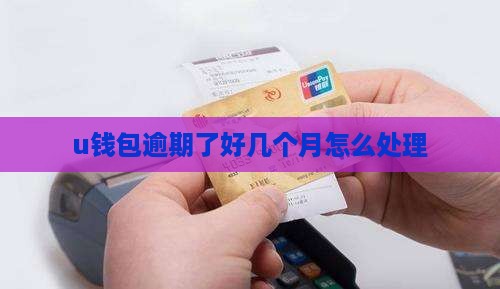u钱包逾期了好几个月怎么办