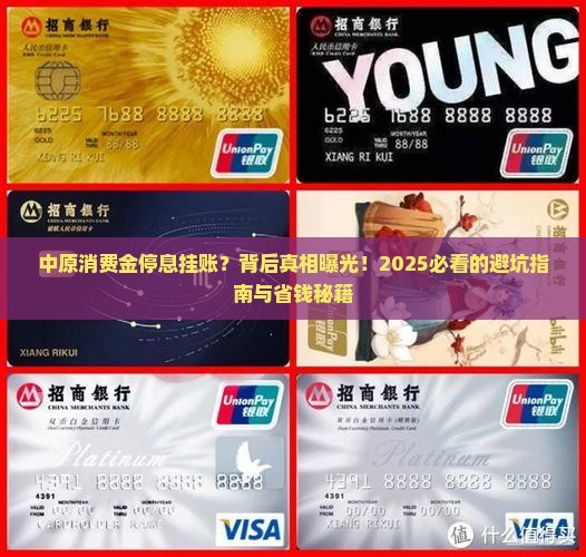 中原消费金停息挂账的原因和解决方法 中原消费金停息挂账的原因和解决方法