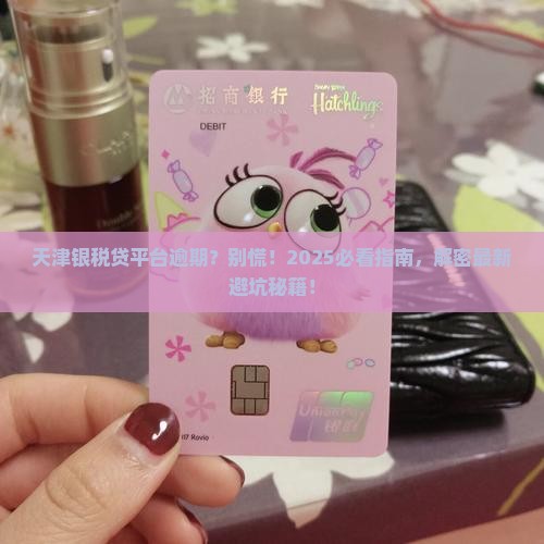 天津银税贷平台逾期