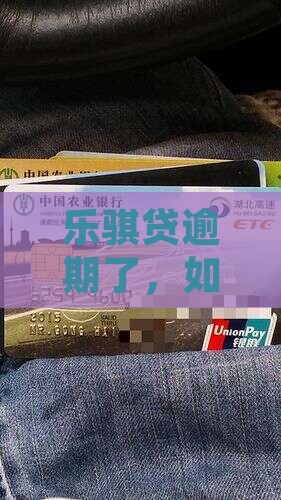 乐骐贷逾期了