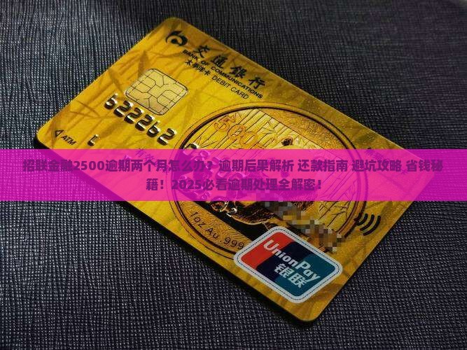 招联金融2500逾期两个月