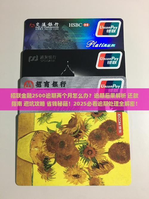 招联金融2500逾期两个月