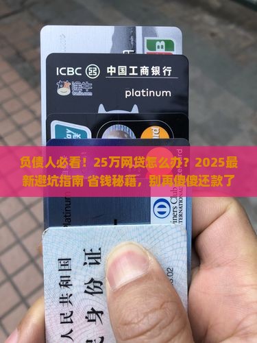 如何处理本人欠网贷25万怎么办问题