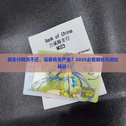 翼支付网贷不还有什么后果需要了解
