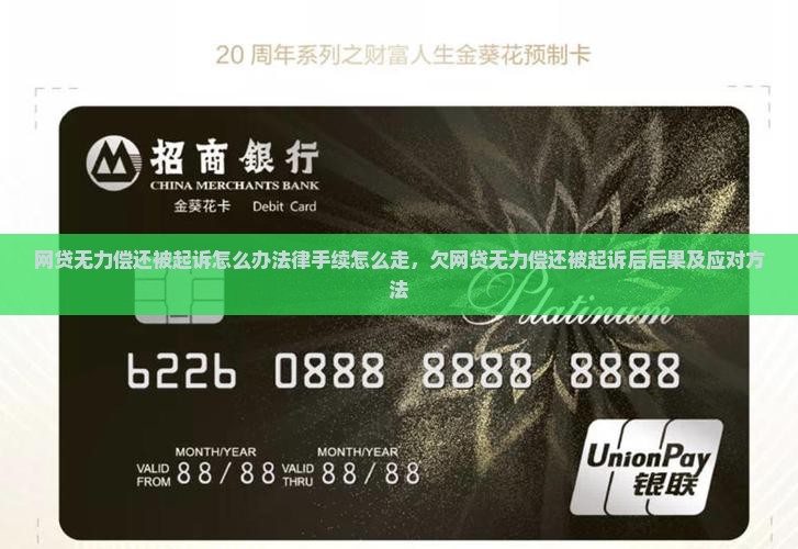 网贷无力偿还被起诉怎么办法律手续怎么走