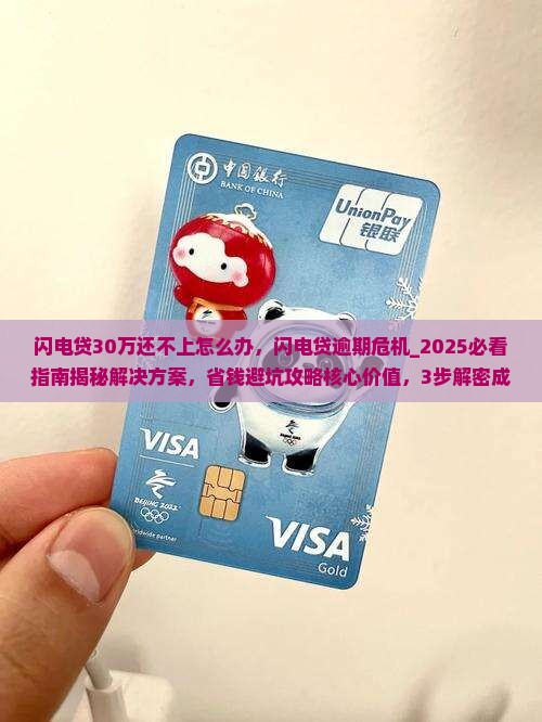 闪电贷30万还不上怎么办