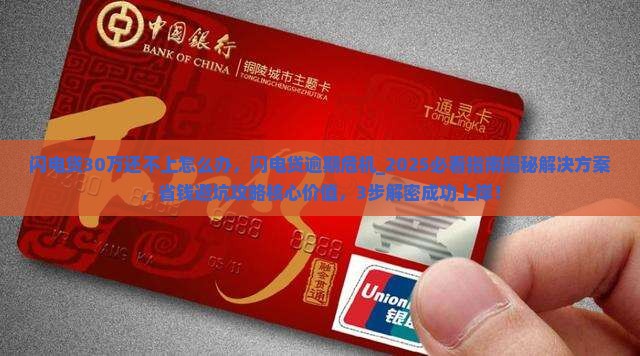 闪电贷30万还不上怎么办