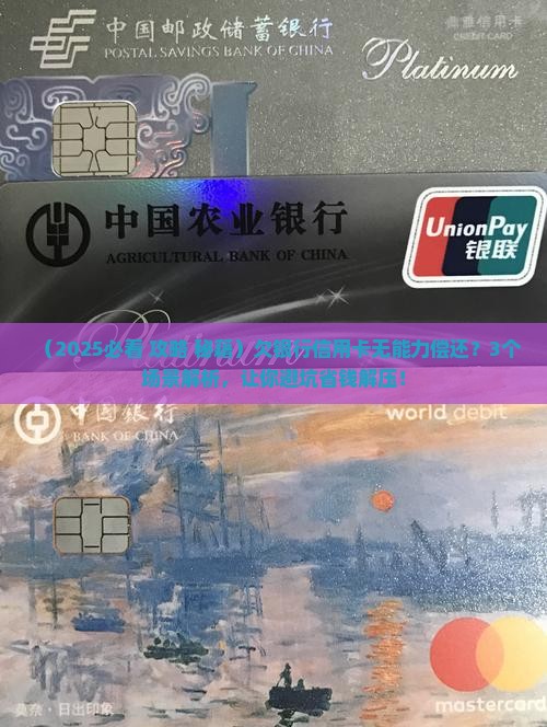 欠银行信用卡无能力偿还